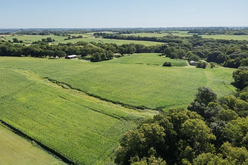 Photo 6 of 8 - 52 acres Springdale Road