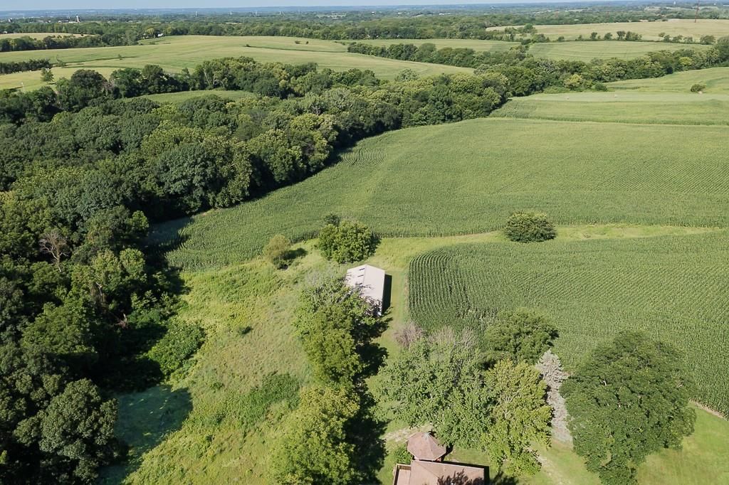 Photo 7 of 8 - 52 acres Springdale Road