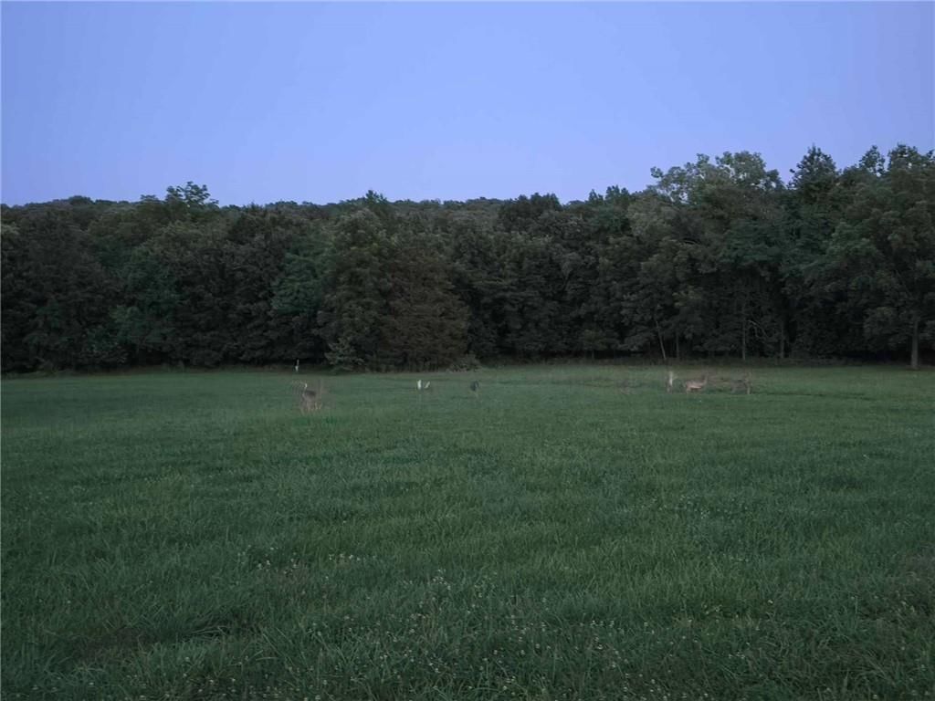 Photo 5 of 7 - 28 & 29 Fertile Road