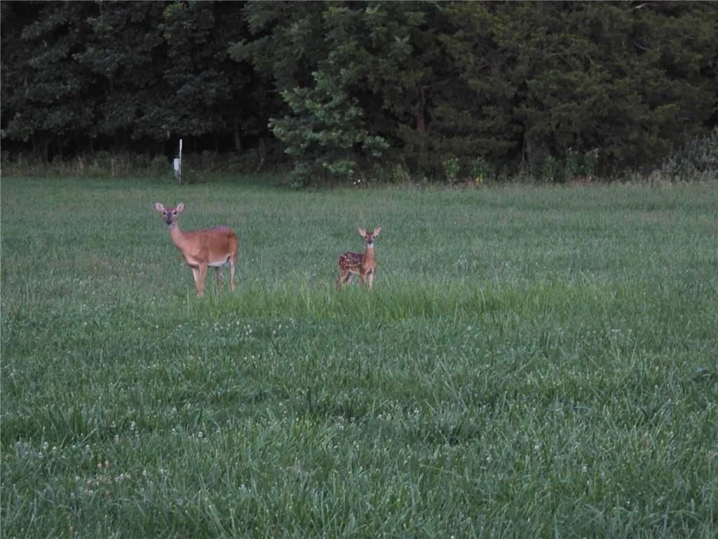 Photo 6 of 7 - 28 & 29 Fertile Road