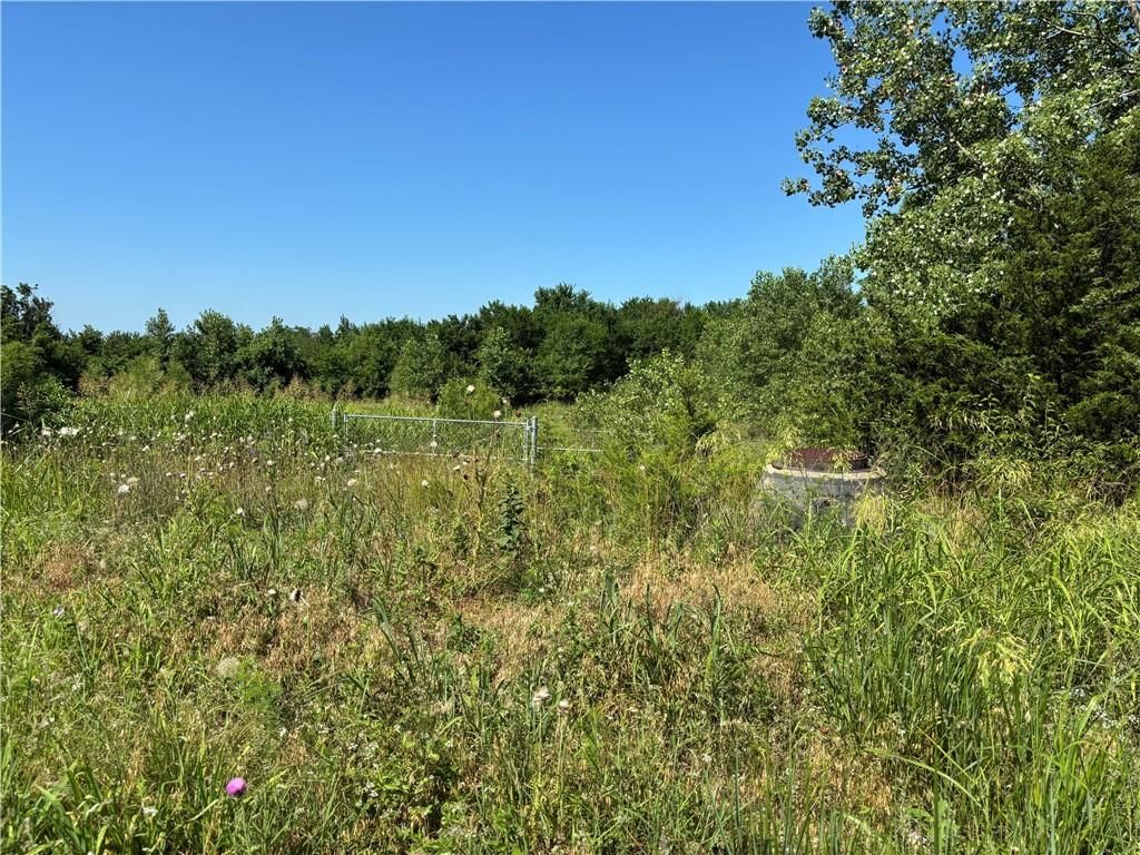 460 John Brown Road — photo 27