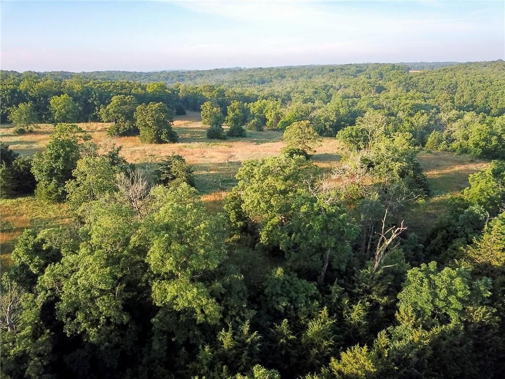 Photo 11 of 46 - 4550 SW 151 Road