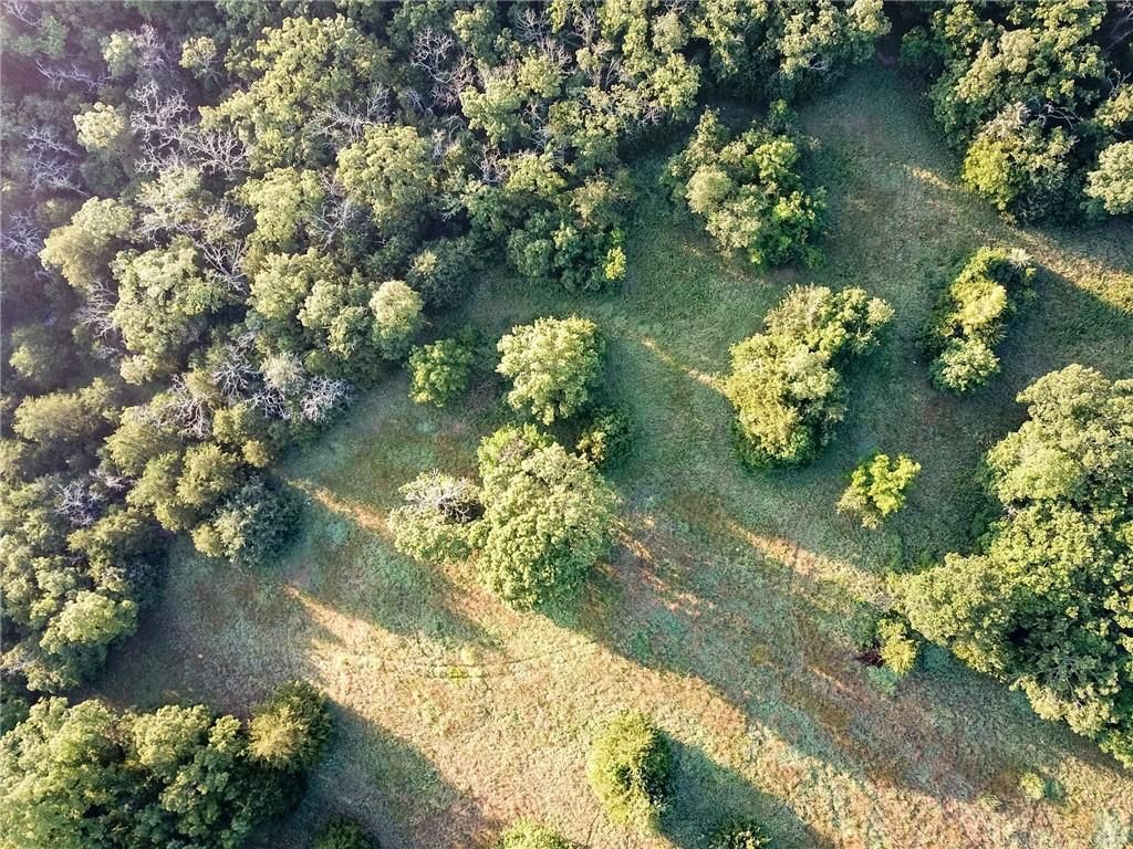 Photo 14 of 46 - 4550 SW 151 Road