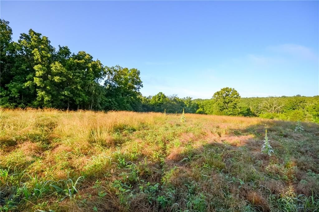 Photo 21 of 46 - 4550 SW 151 Road