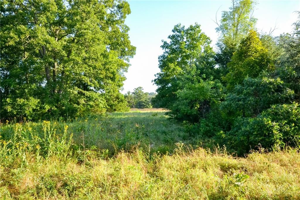Photo 27 of 46 - 4550 SW 151 Road
