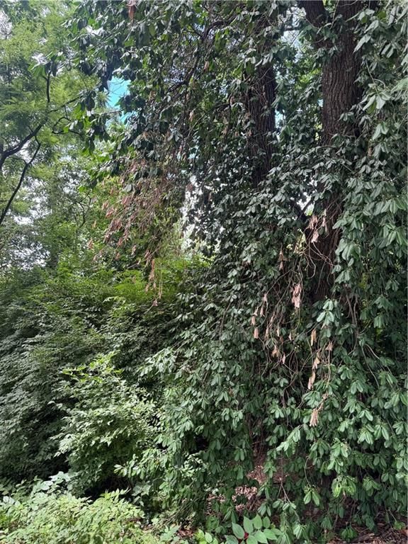 1215 W 21 Street — photo 7