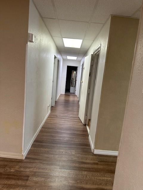832 S 19th Street — photo 19