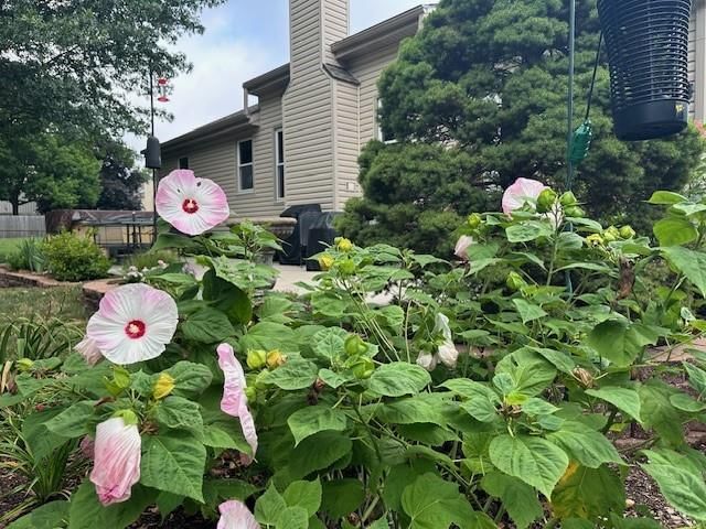 Photo 34 of 54 - 15703 W 125th Street