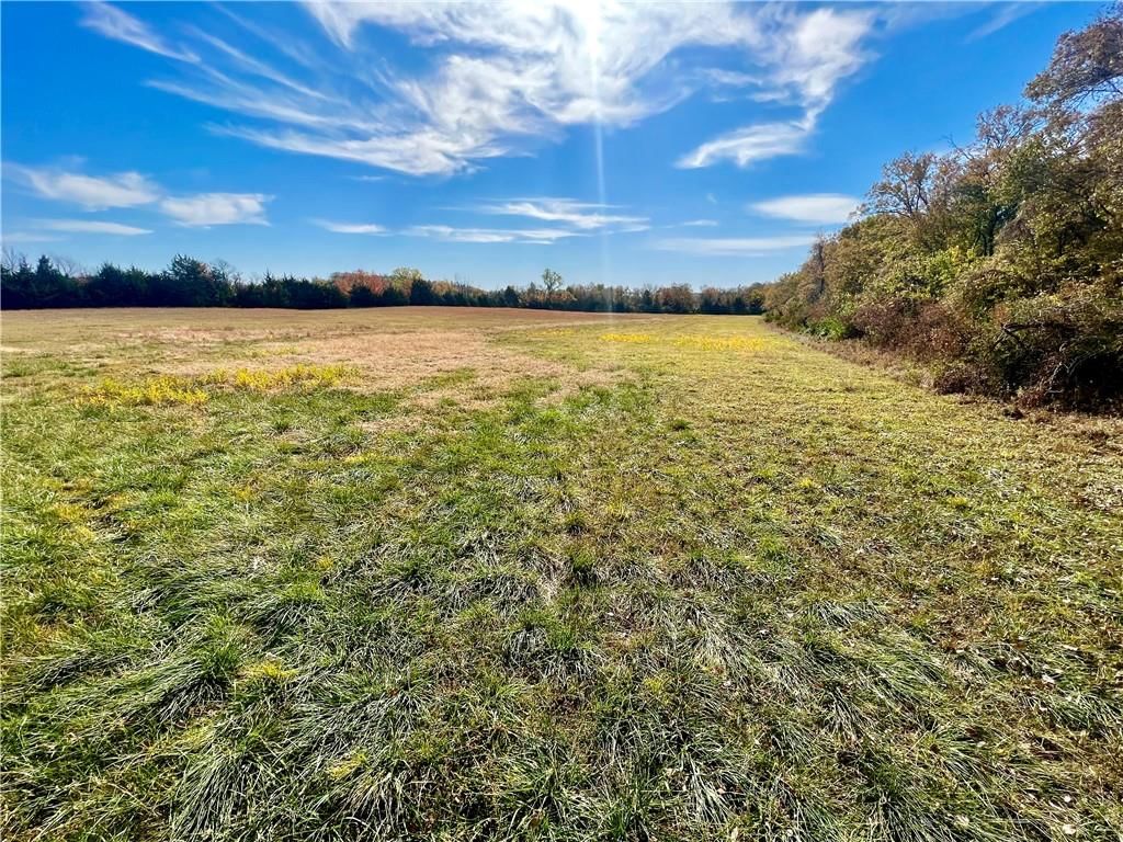 125 Acres E 1296 Road — photo 4