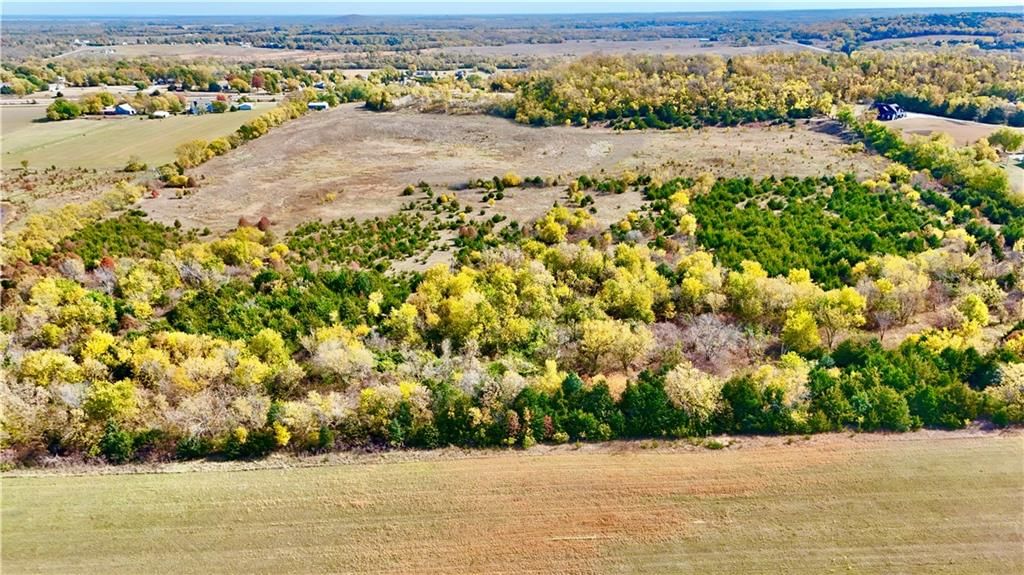 125 Acres E 1296 Road — photo 16