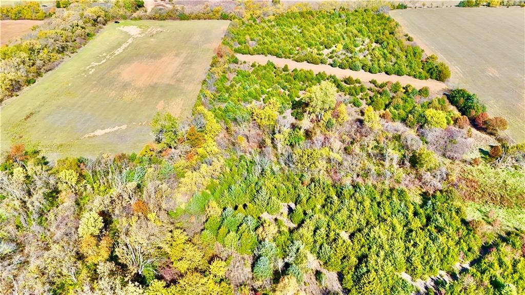 125 Acres E 1296 Road — photo 24