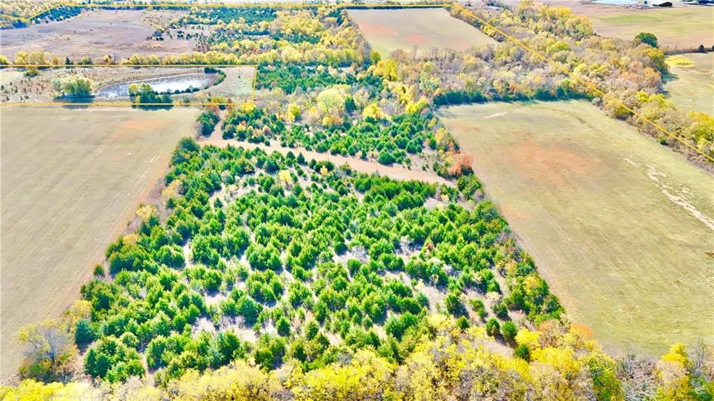 125 Acres E 1296 Road — photo 25