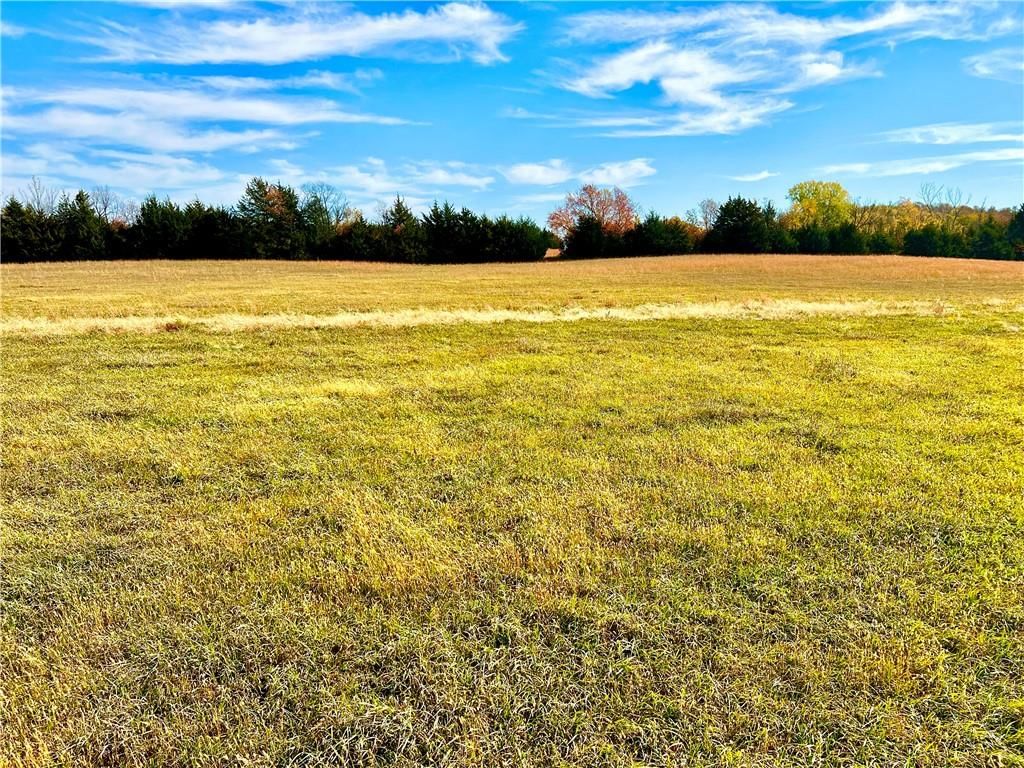 125 Acres E 1296 Road — photo 27