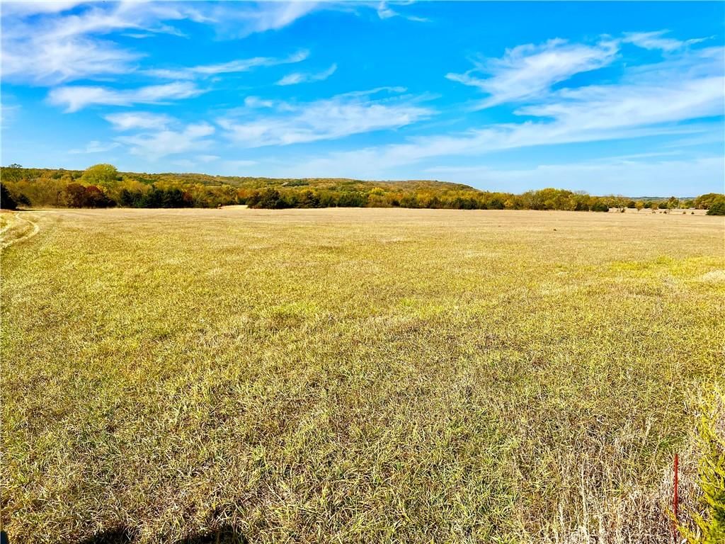 125 Acres E 1296 Road — photo 30