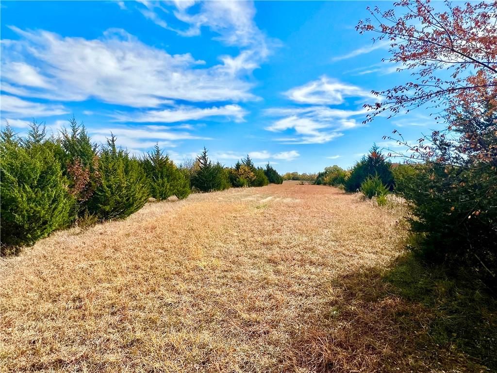 125 Acres E 1296 Road — photo 33