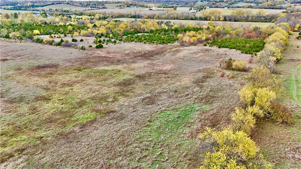 125 Acres E 1296 Road — photo 84