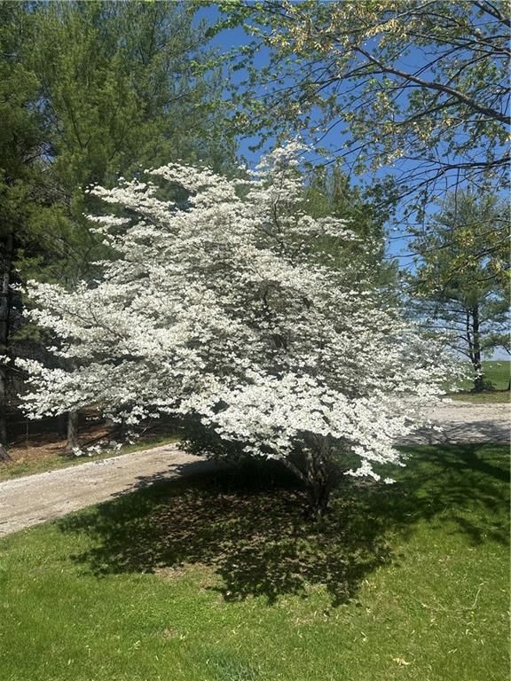 336 SE Zack Wheat Drive — photo 49
