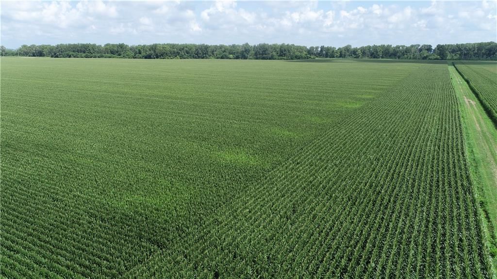 Tract 1 N Of Cranberry Bend Road — photo 21