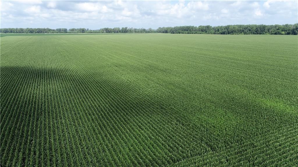 Tract 1 N Of Cranberry Bend Road — photo 22