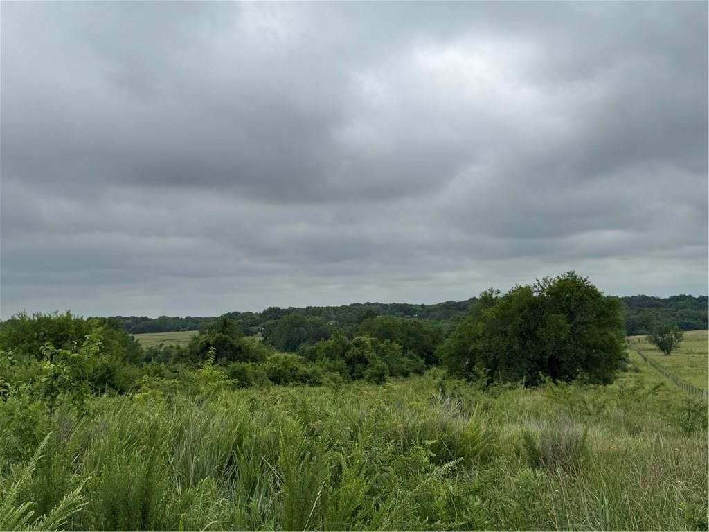 23436 Guthrie Road — photo 4