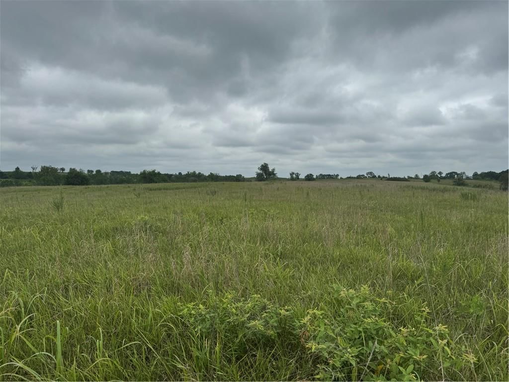 23436 Guthrie Road — photo 7