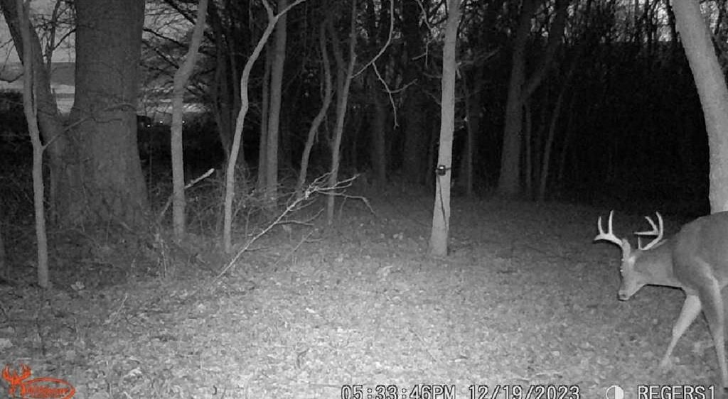 Photo 13 of 26 - 15802 Short Lane