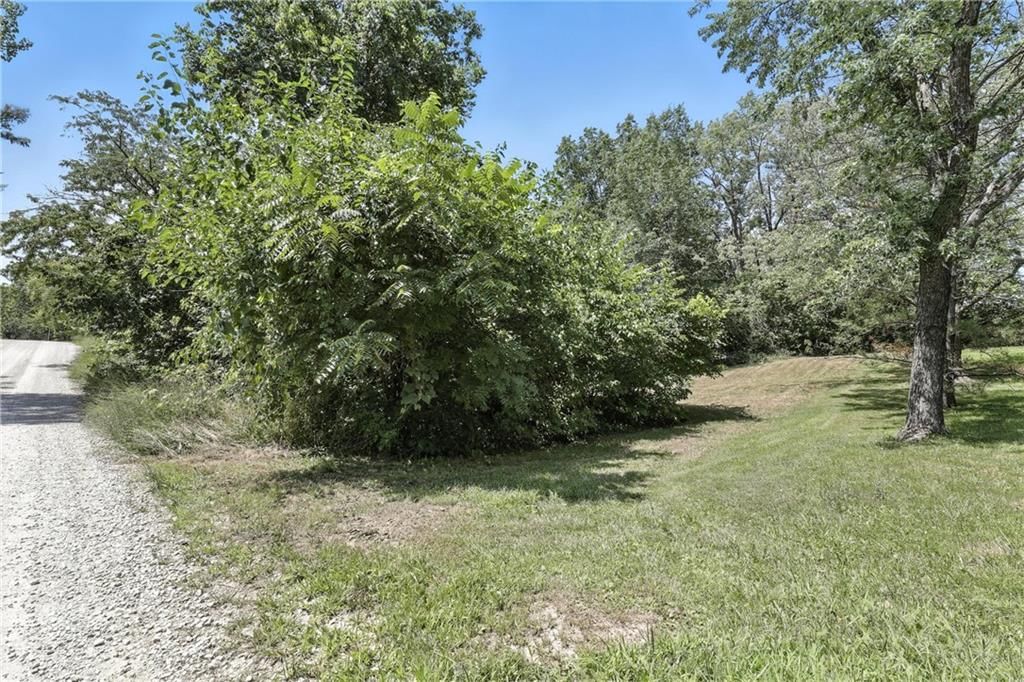 Photo 41 of 48 - 31785 Outlook Drive