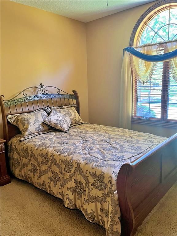 107 W Mckinley Street — photo 19