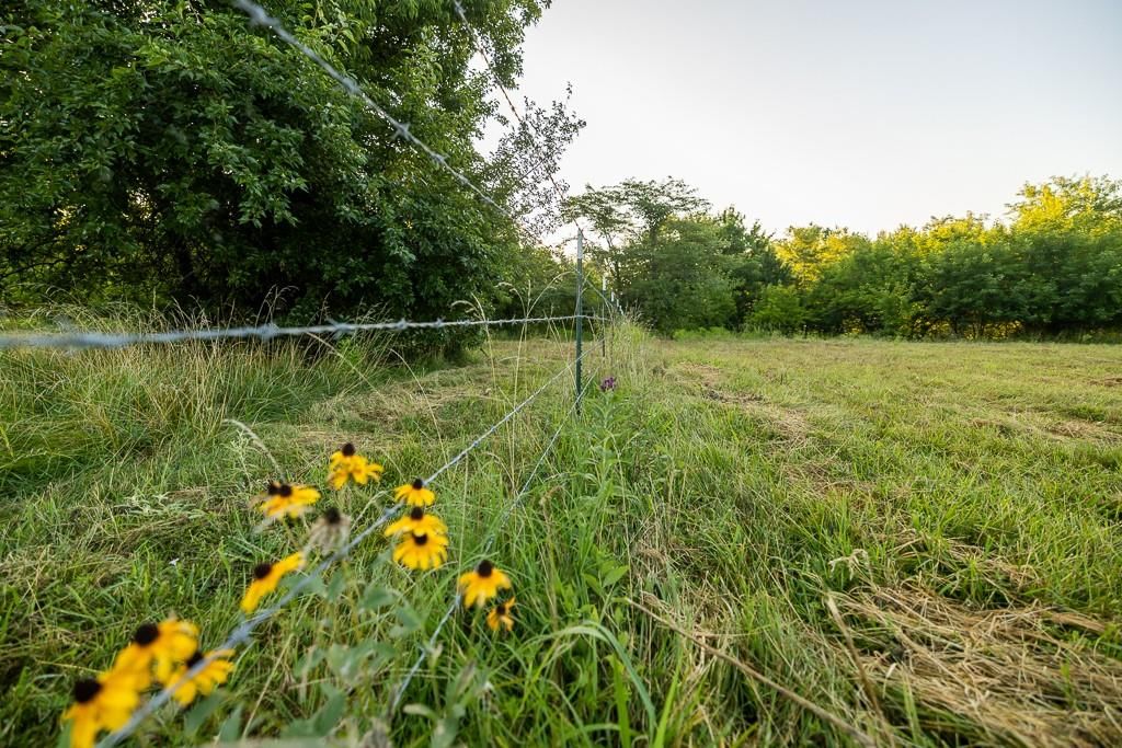Photo 36 of 59 - 32901 S Jacobson Road