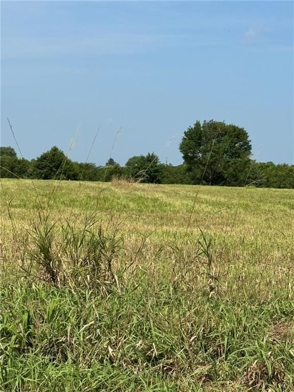 Lone Star Road — photo 2