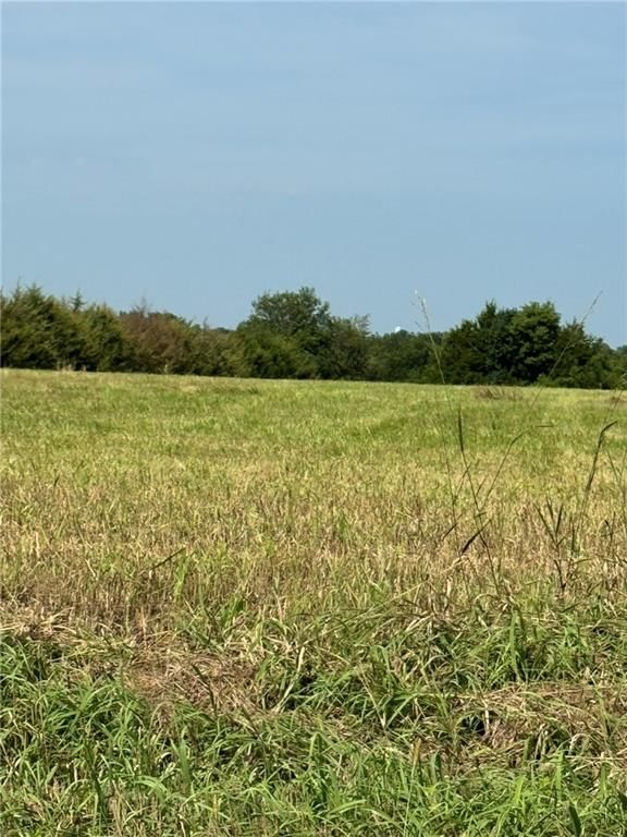 Lone Star Road — photo 3