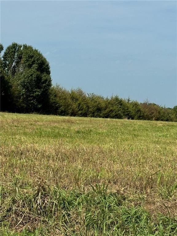 Lone Star Road — photo 4