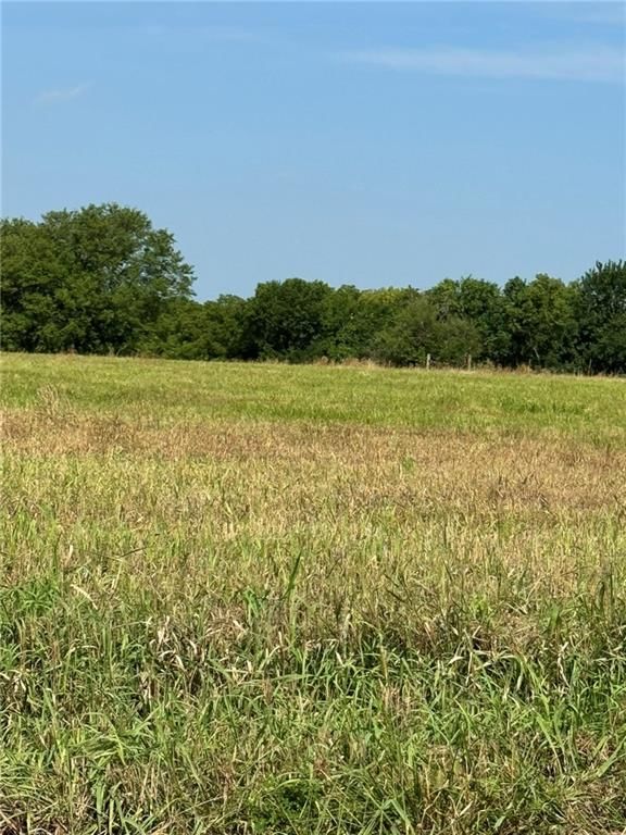 Lone Star Road — photo 5