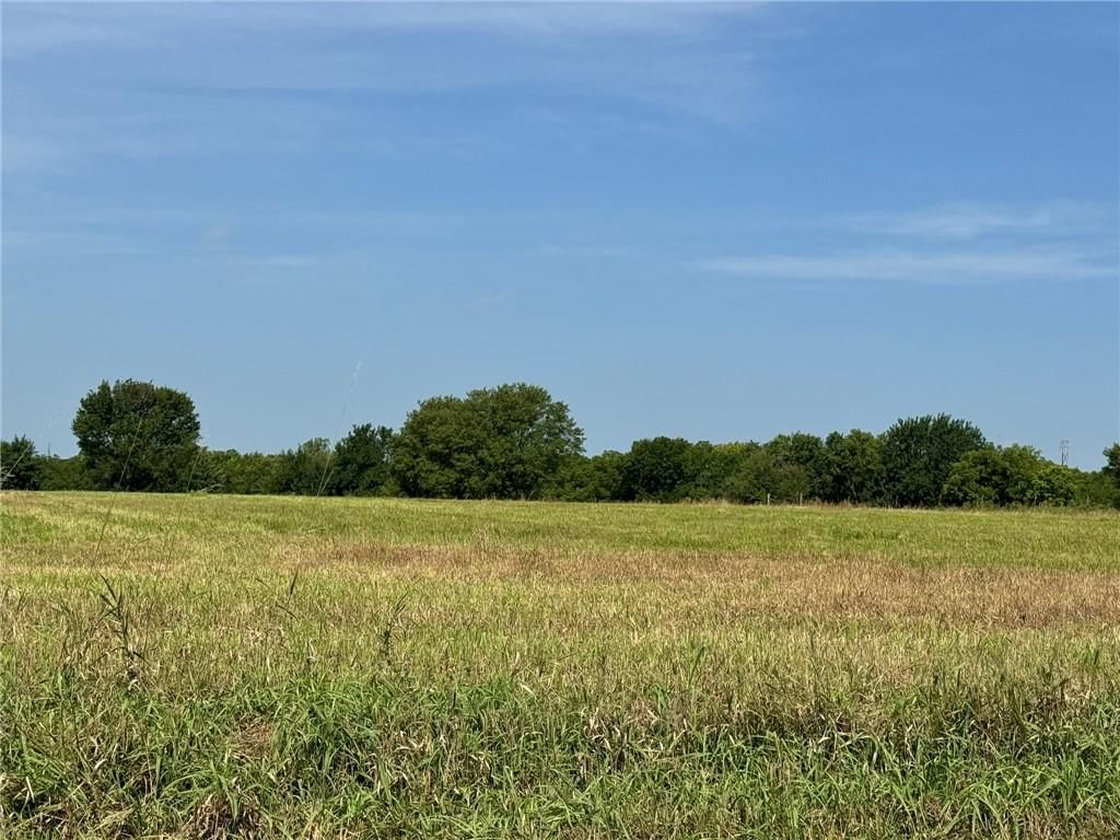 Lone Star Road — photo 6