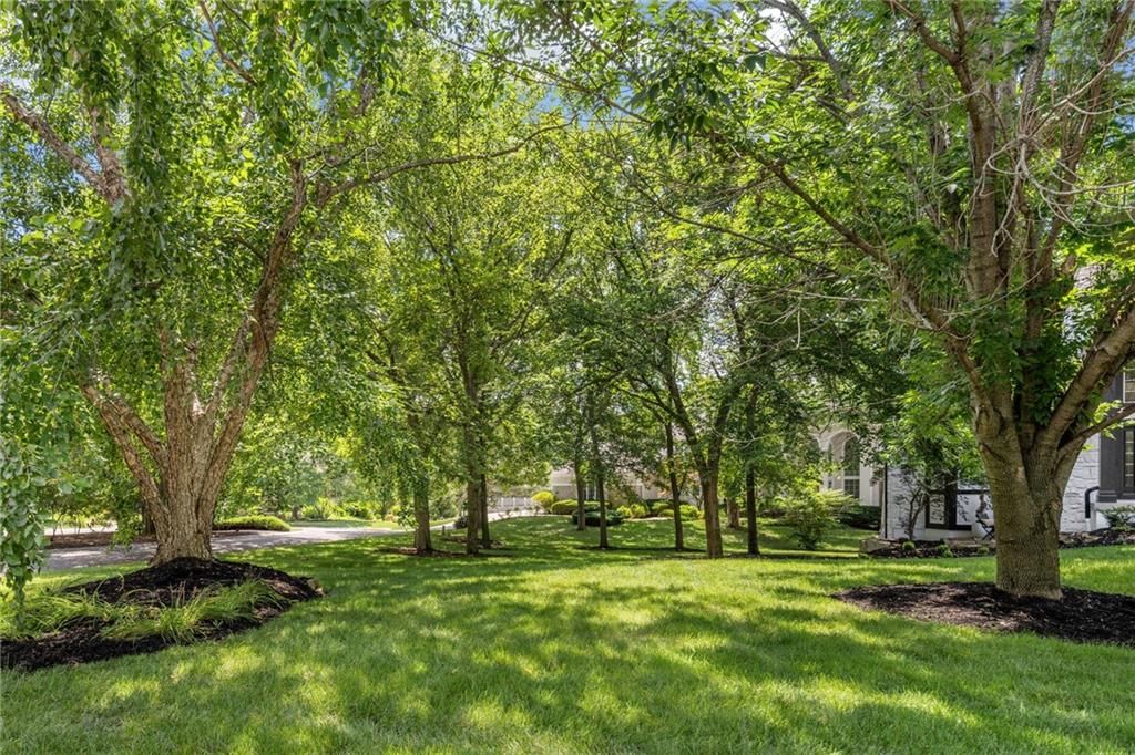 15142 Windsor Circle — photo 45