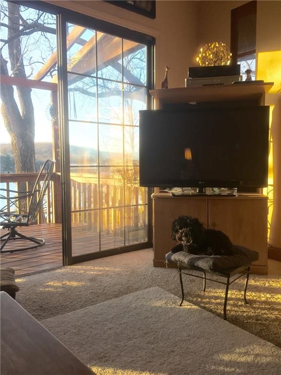 404 Lake Of The Forest Drive — photo 10