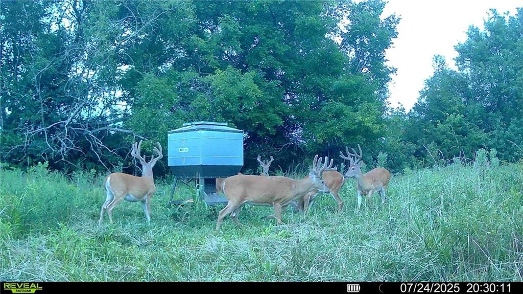 00 Prairie Road — photo 17