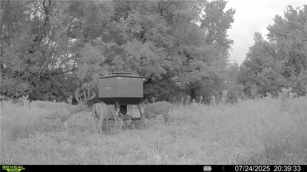 00 Prairie Road — photo 18