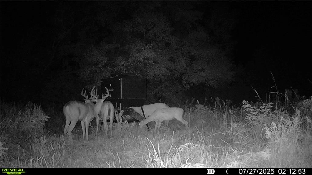 00 Prairie Road — photo 19