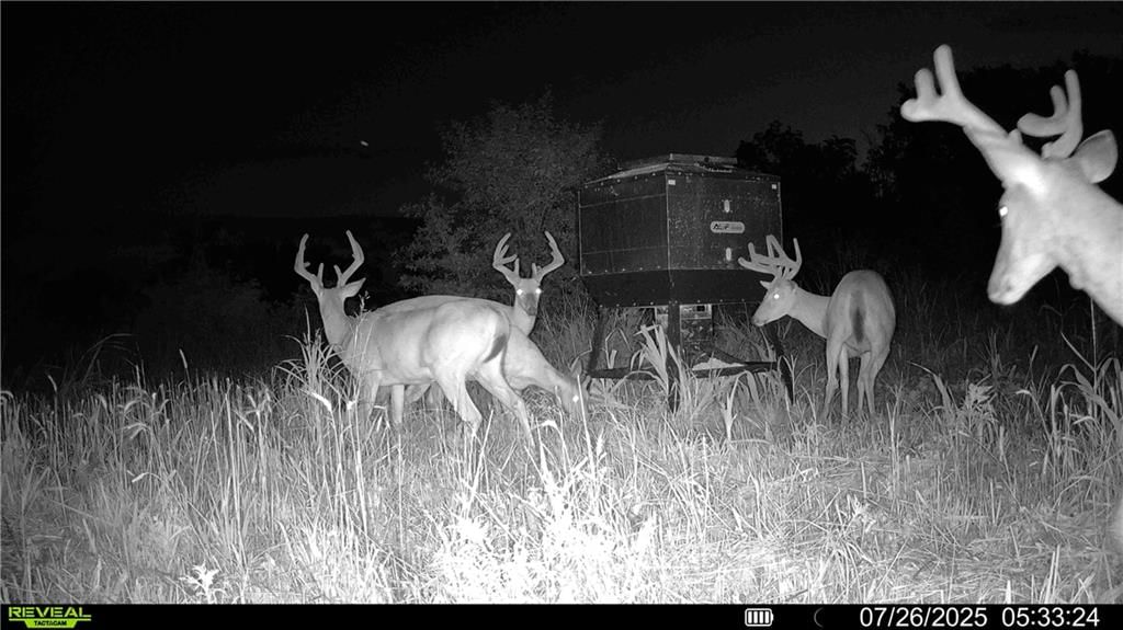 00 Prairie Road — photo 22