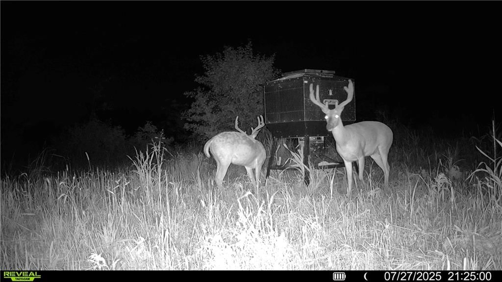 00 Prairie Road — photo 23