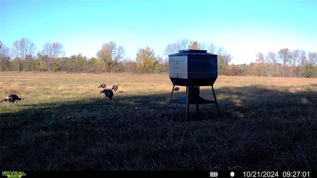 00 Prairie Road — photo 25