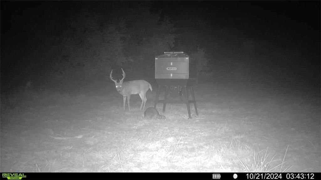 00 Prairie Road — photo 30