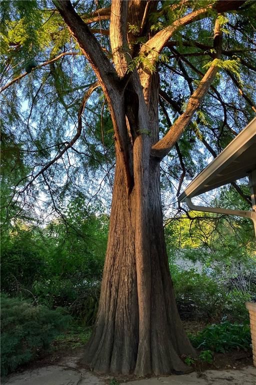 41 Stonecrest Drive — photo 24