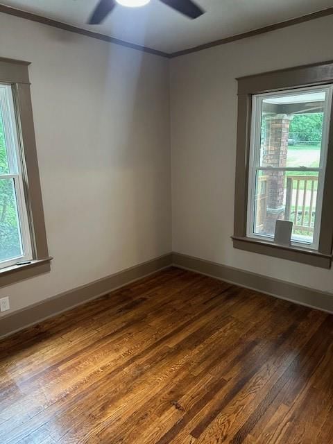 1137 Greeley Avenue — photo 8