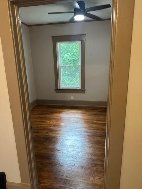1137 Greeley Avenue — photo 9