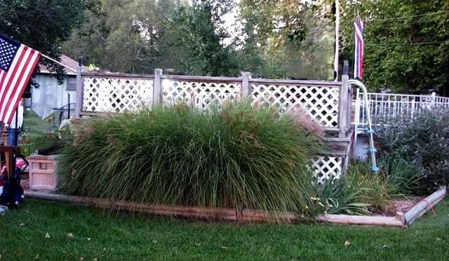 Photo 24 of 40 - 519 Trevis Avenue