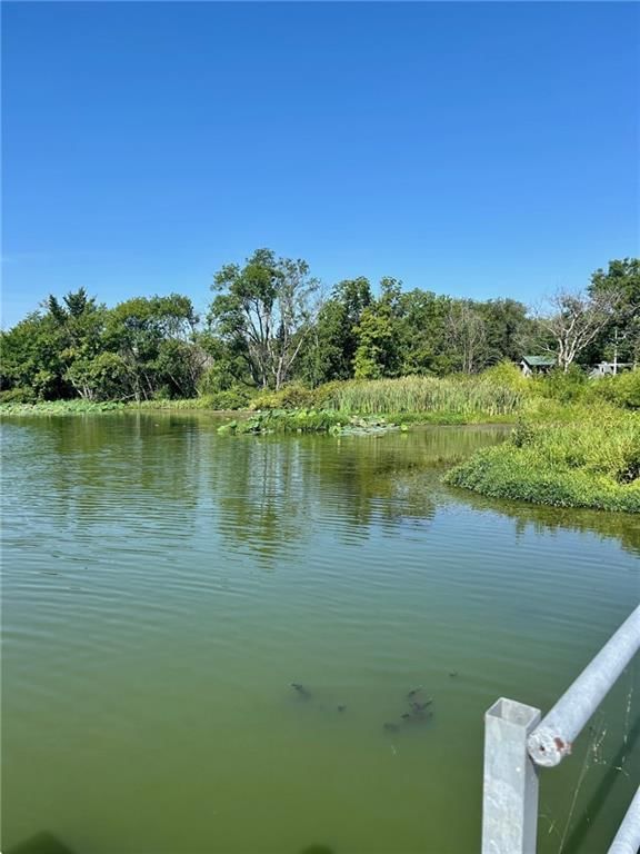 Photo 31 of 42 - 18460 McKinley Lake Road