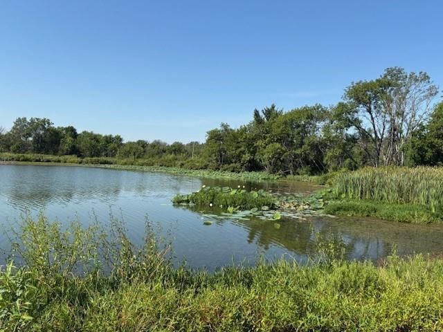 Photo 34 of 42 - 18460 McKinley Lake Road