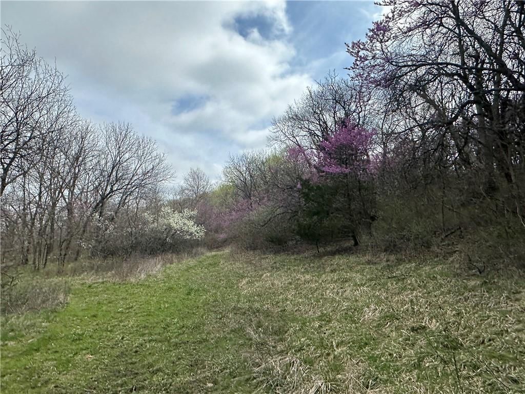 10500 E 329th Street — photo 10
